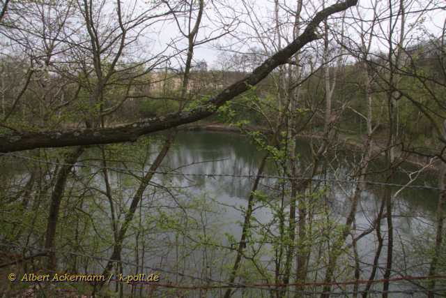 Baggerloch, Poller Holzweg