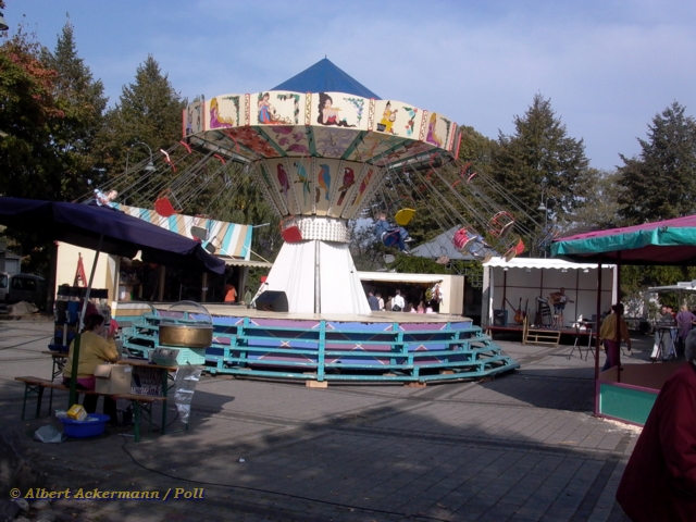 Marktplatz Poll