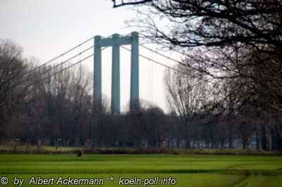 Rodenkirchener Brücke