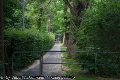 Fußweg zur Kreuzaue